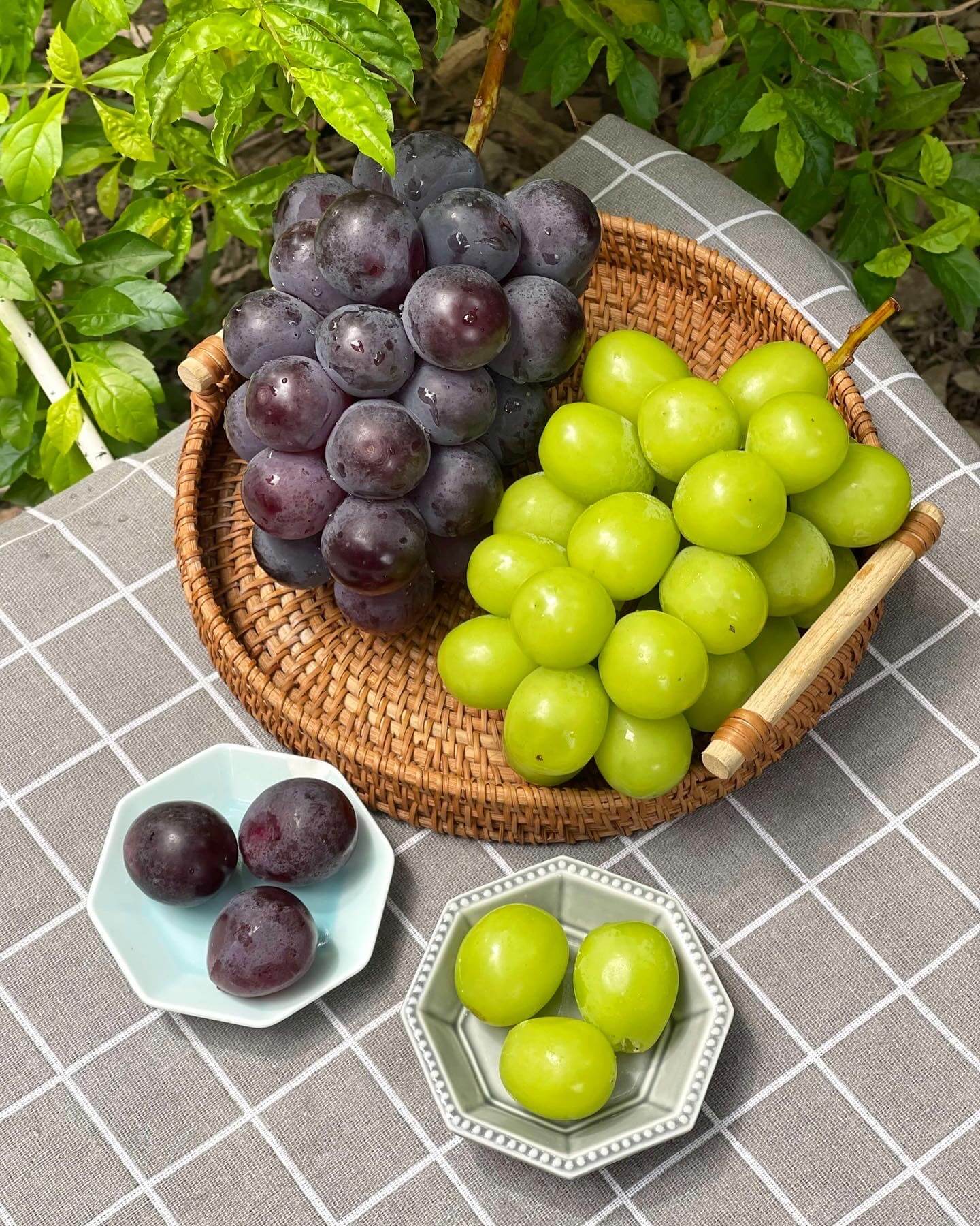 宅配葡萄