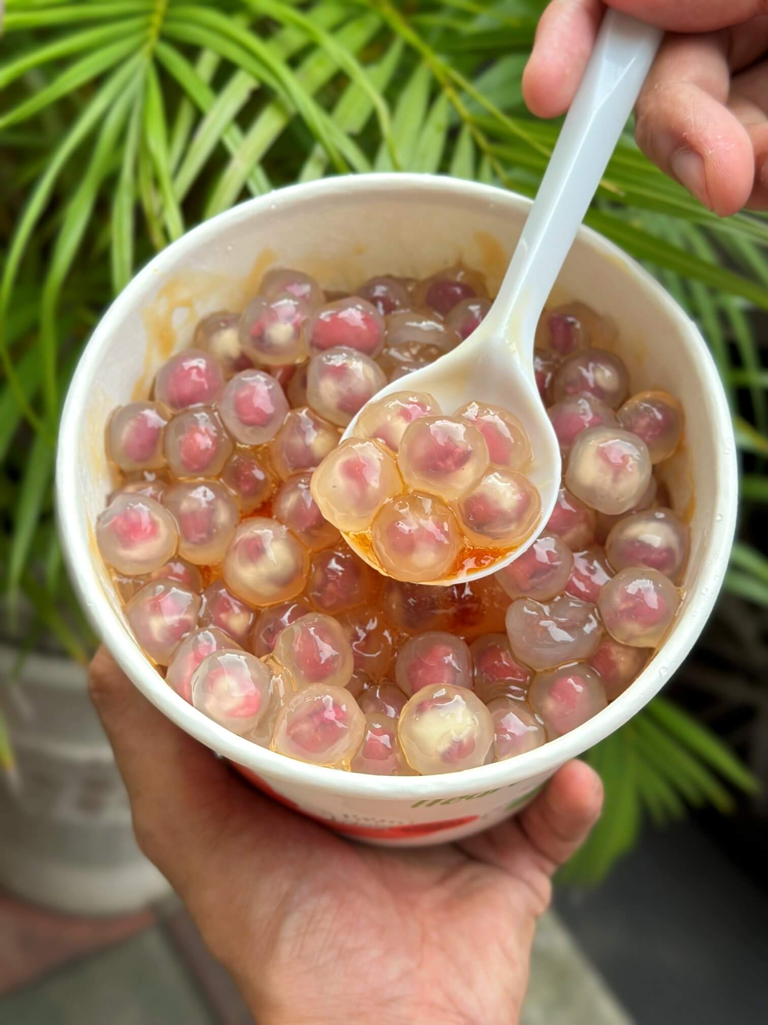 金旺豆花店