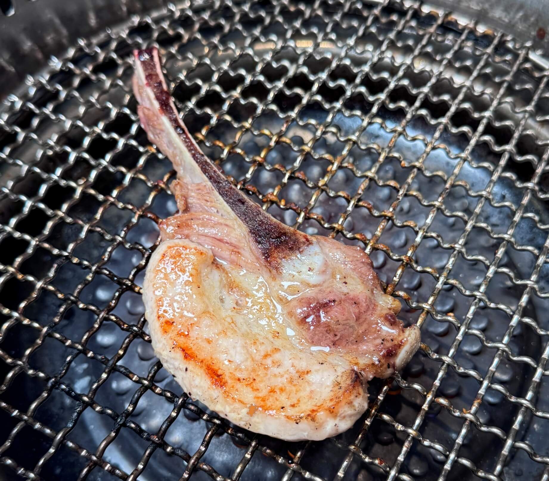 蘆竹燒肉吃到飽