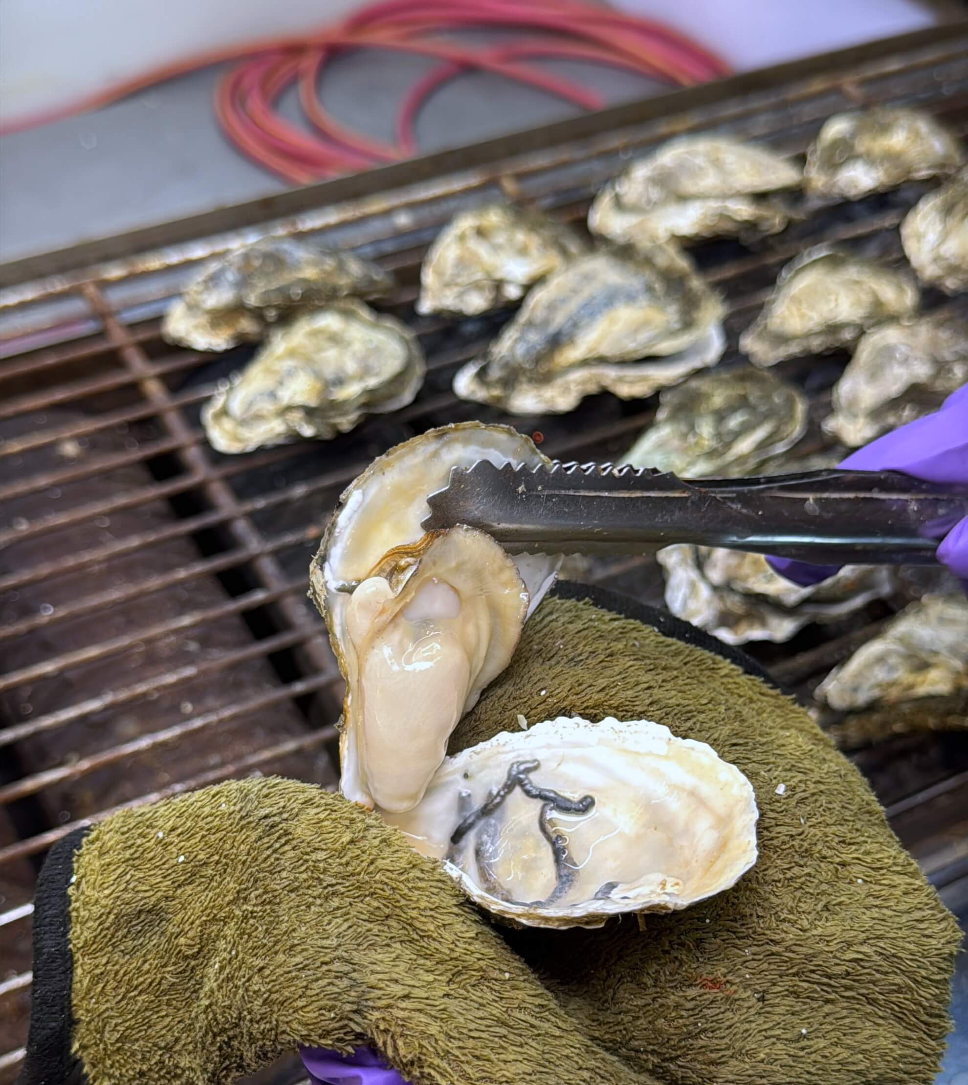 海公公海鮮大排檔